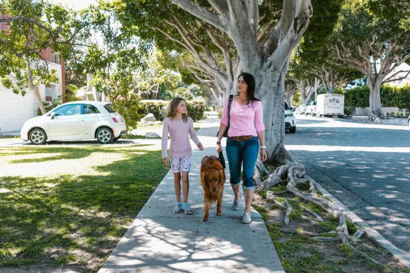 Paws, Parks, and Property Values: How Pet-Friendly Amenities Are Moving the Needle in Parkview's Housing Market